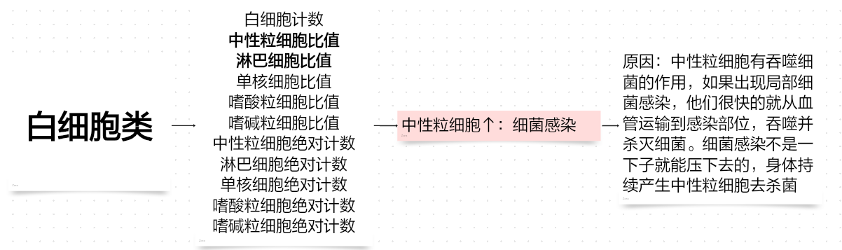 白细胞类.jpg