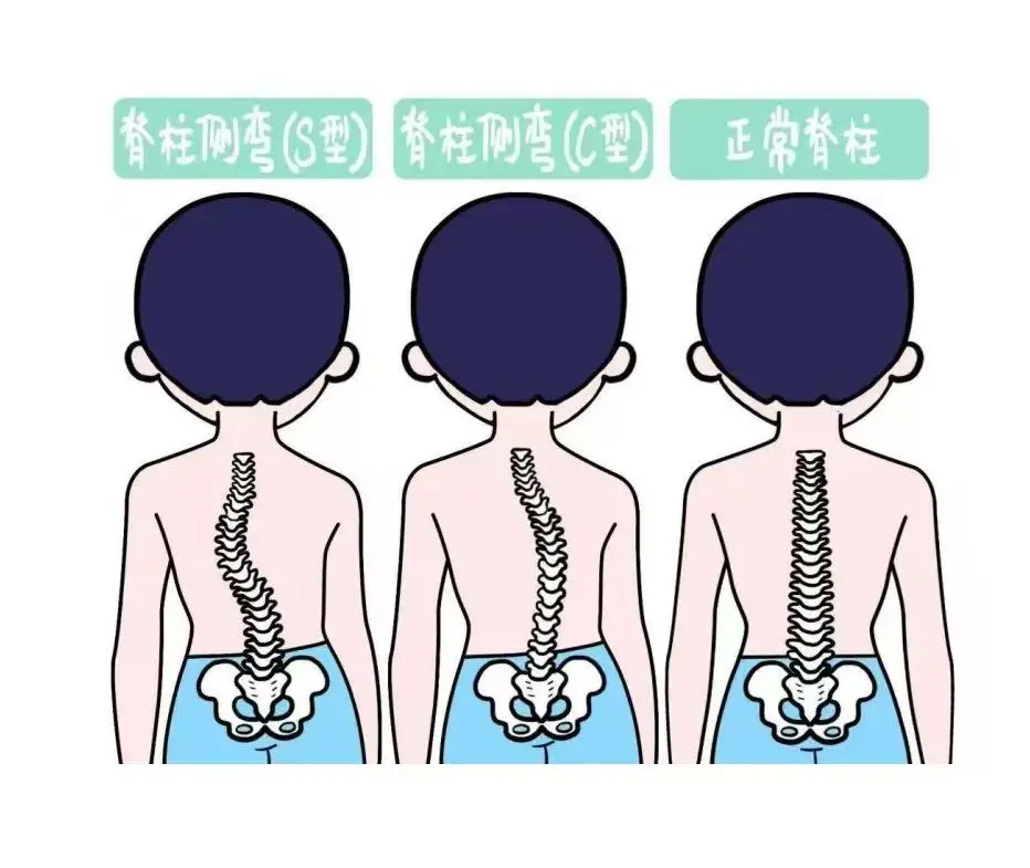 图1.png