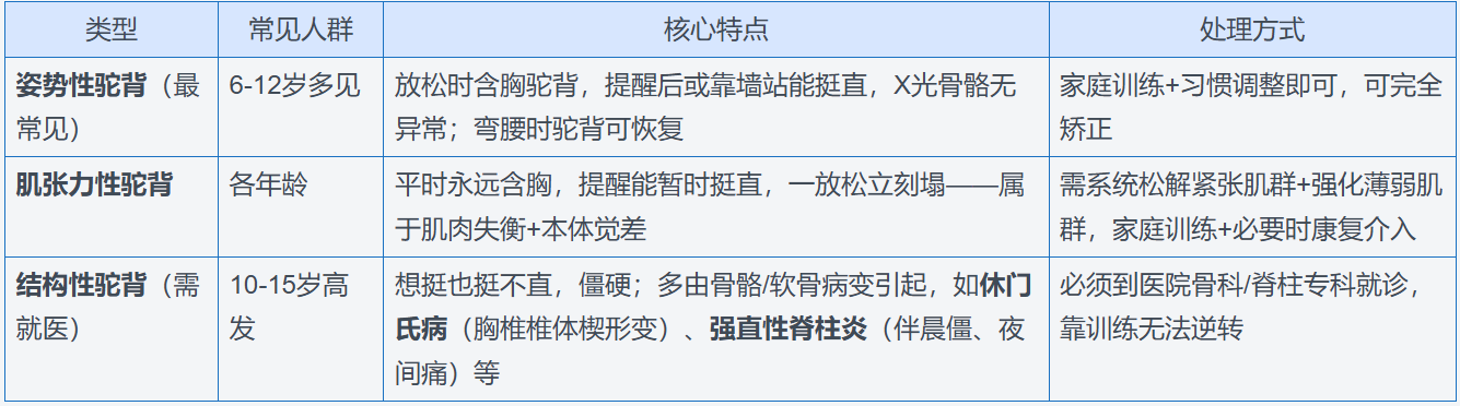 图1.png
